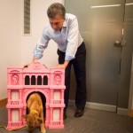 mascota_balcarce_1